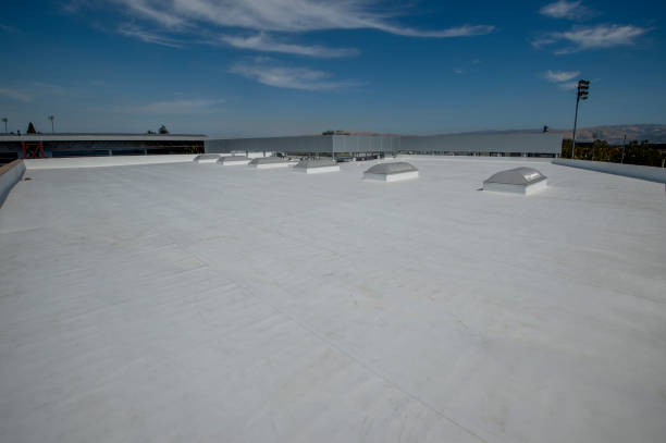 Best Roof Leak Repair  in Saugerties South, NY