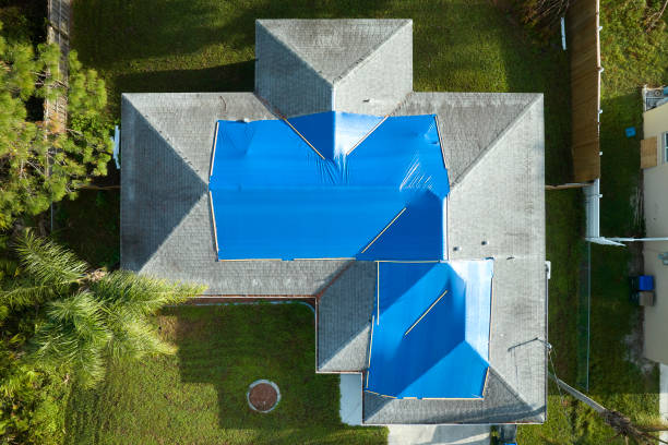 Best Roof Moss and Algae Removal  in Saugerties South, NY