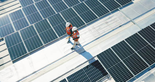 Best Roof Moss and Algae Removal  in Saugerties South, NY