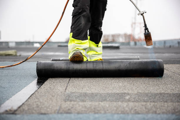 Best Skylight Installation and Repair  in Saugerties South, NY