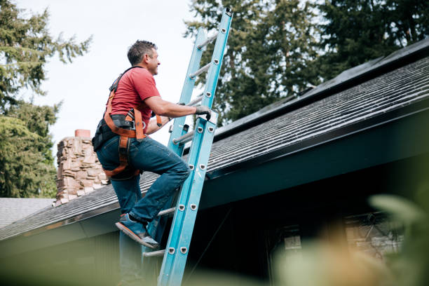 Best Roof Leak Repair  in Saugerties South, NY