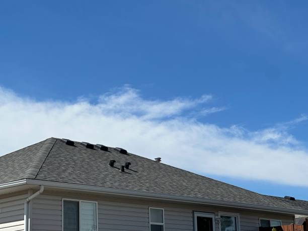 Best Roof Coating and Sealing  in Saugerties South, NY