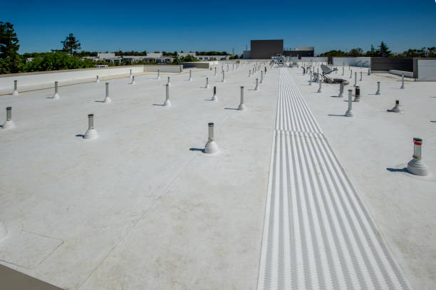 Best Roof Maintenance and Cleaning  in Saugerties South, NY